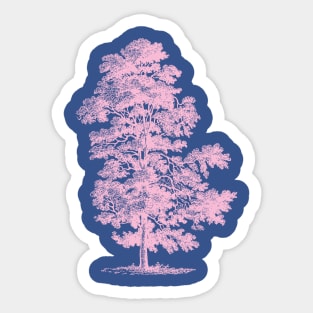 Pitch Pine Sticker